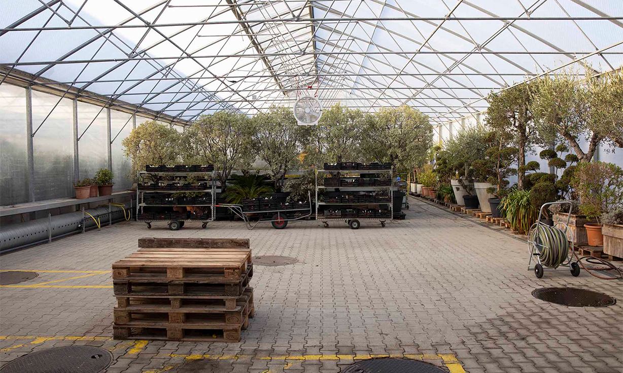 Überwinterung Grünhaus Gewächshaus Pflanzen Treibhaus Folientunnel Gärtnerei