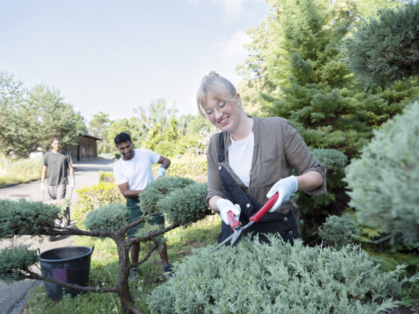 Man sieht drei Personen, die im Garten arbeiten. Im Vordergrund steht eine junge Frau mit einer Heckenschere und lächelt, während sie einen Strauch beschneidet.